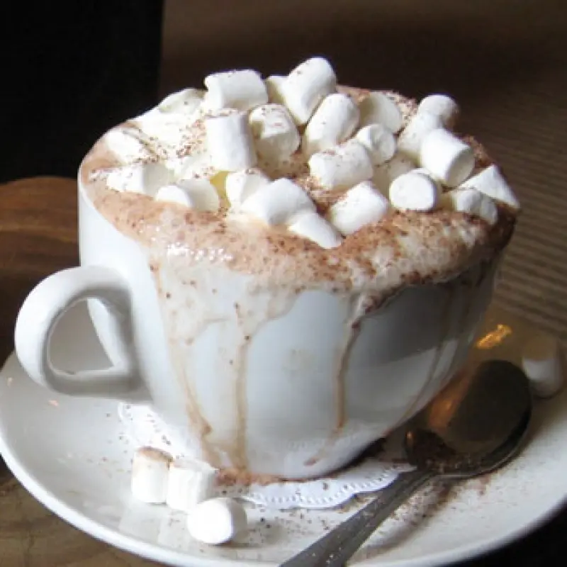 Gourmet Hot Cocoa Mix
