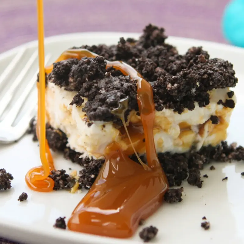 Oreo Caramel Frozen Yogurt Cake