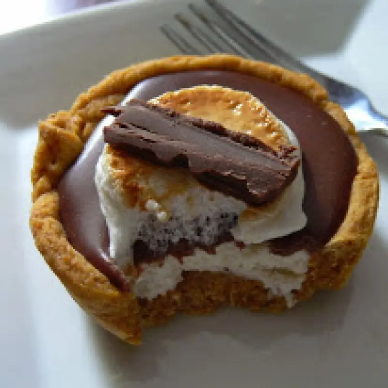 Smores Cheesecake Tart with A Rich Milk Chocolate Truffle Topping