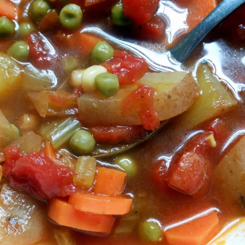 Homemade Fresh Vegetable Soup