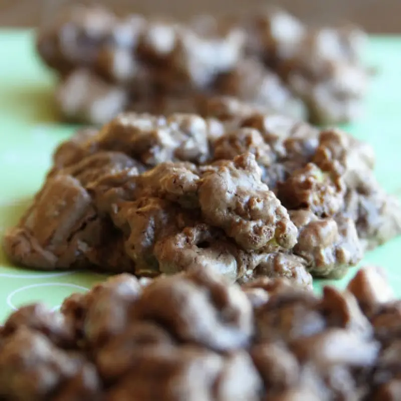 Chocolate Dumpster Cookies