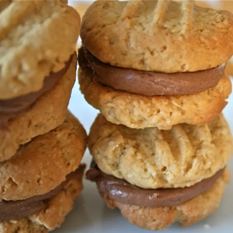 Coconut Chocolate Crunchies