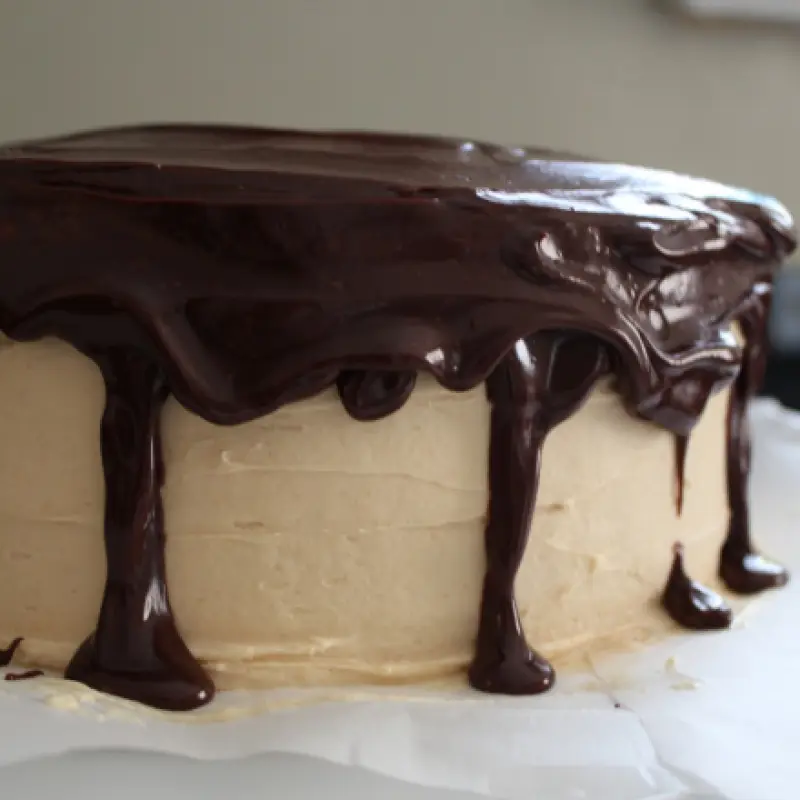 Chocolate Peanut Butter Cake