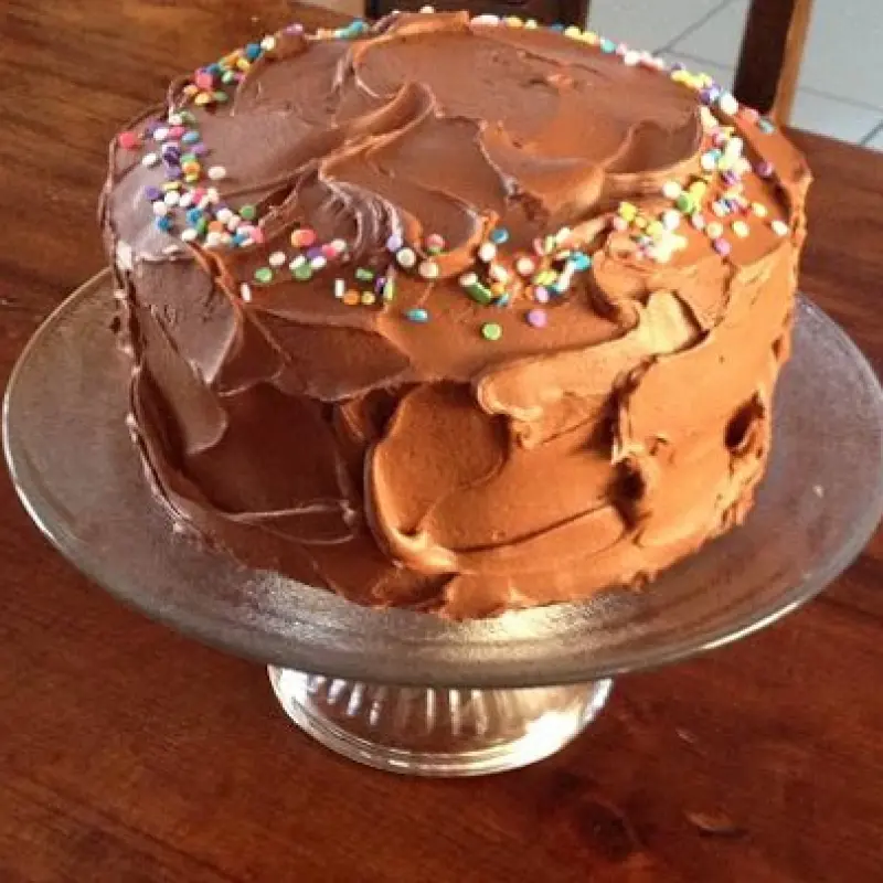 Two Layer Classic Chocolate Cake