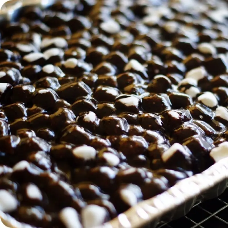 Mocha Mississippi Mud Cake