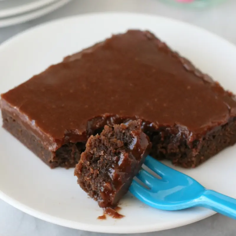 Rich Dense Chocolate Fudge Cake