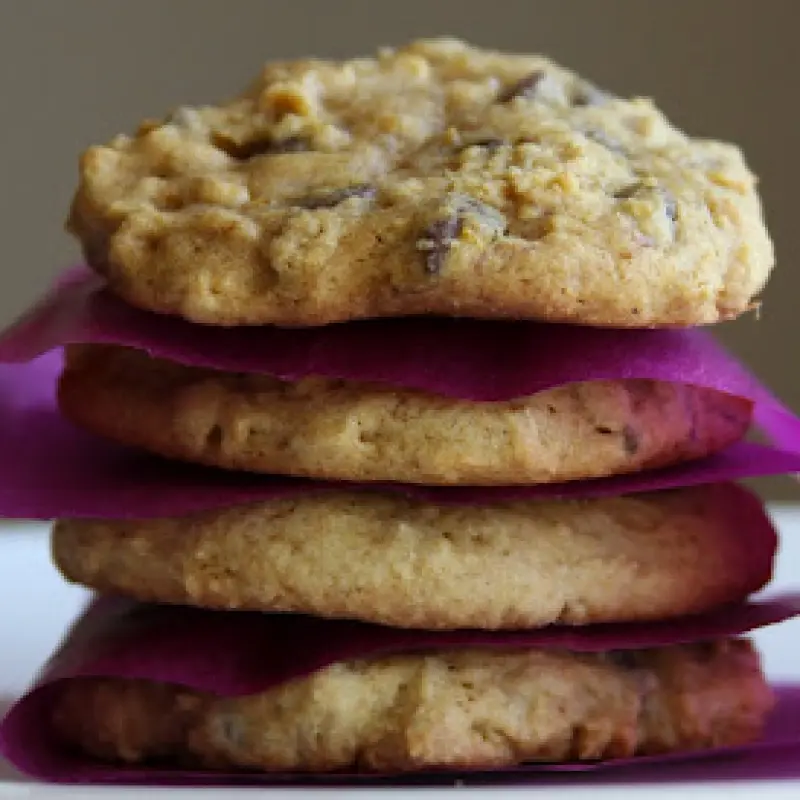 Chocolate Chip Pumpkin Cookies