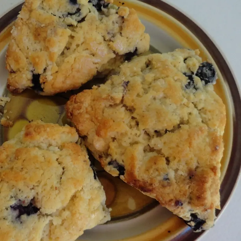 Blueberry Scones