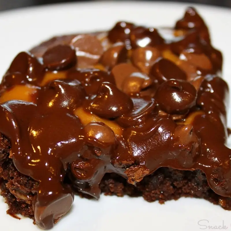 Brownies Topped with Caramel & Chocolate Morsels