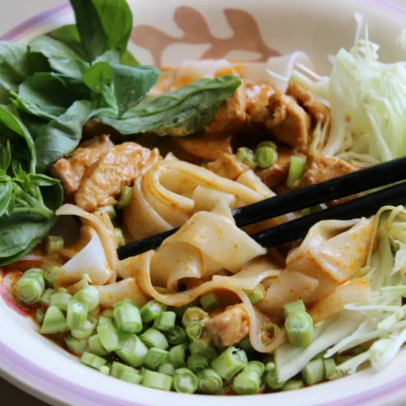 Rice Noodle with Thai Red Chicken Curry