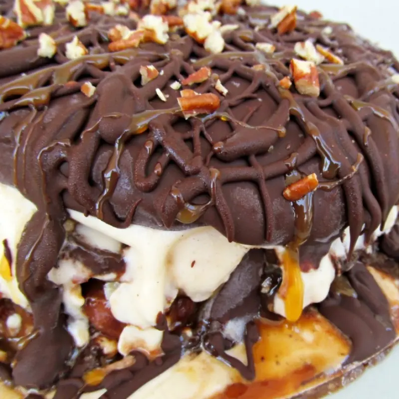 Turtle Ice Cream Cake
