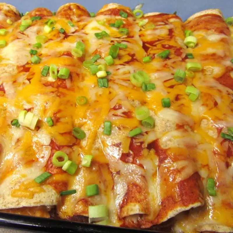 Creamy Cheese Chicken Enchiladas