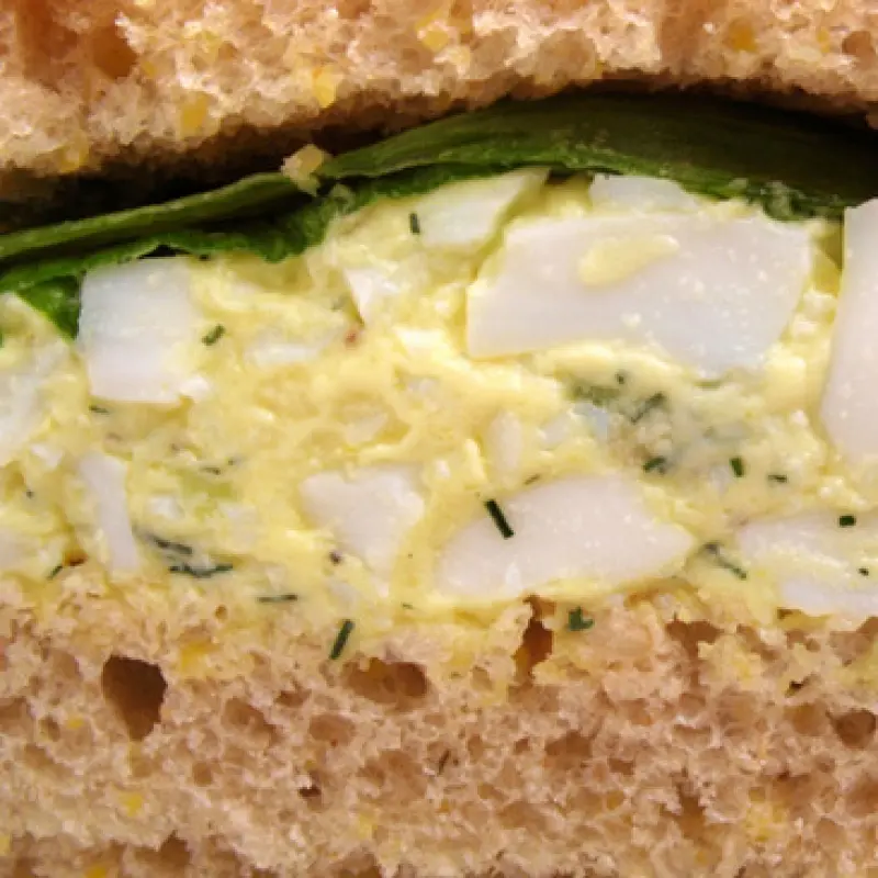 Healthy Egg Salad Sandwiches