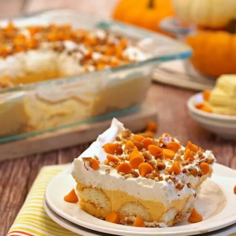 Pumpkin Pie Dessert Lasagna