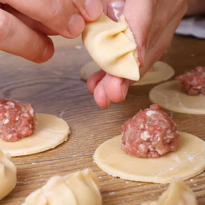 Homemade Gyoza