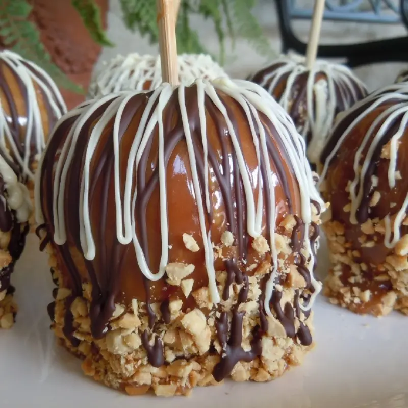 Gourmet Caramel Nut & Chocolate Dipped Apples