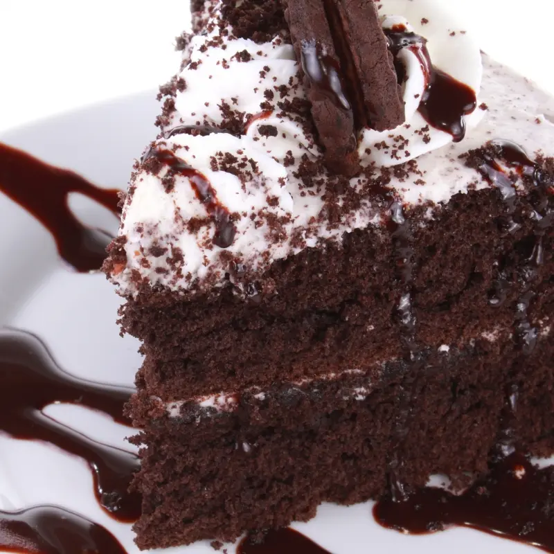 Chocolate Drizzled Chocolate Layer Cake