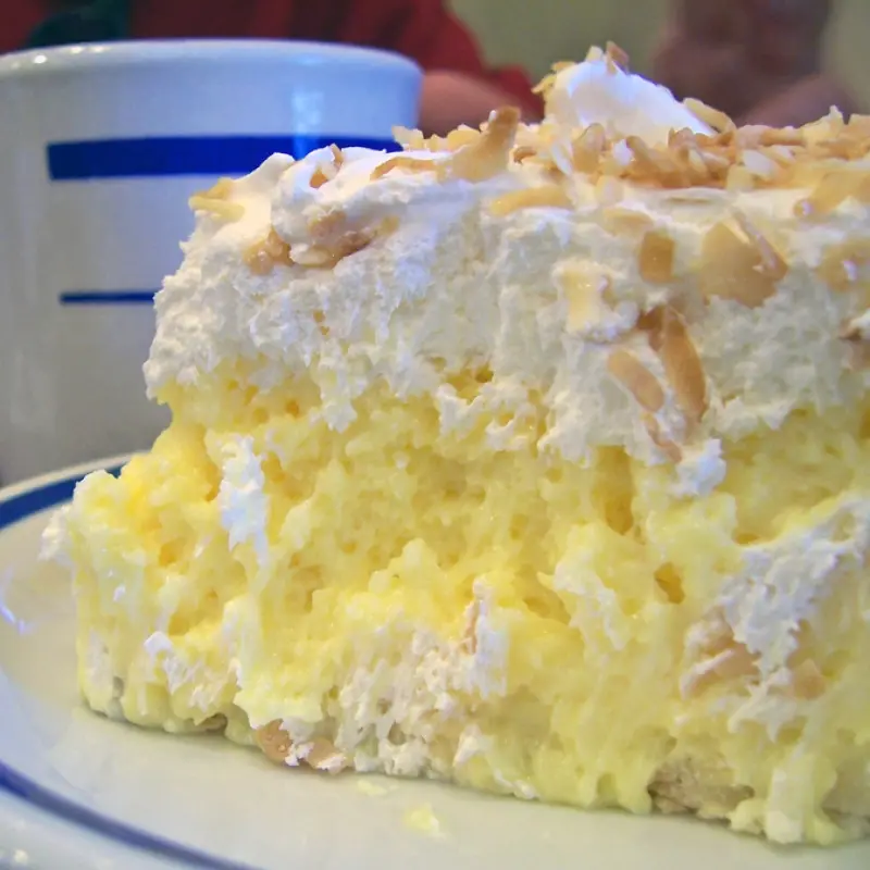 Tasty Toasted Coconut Whipped Cream Pie