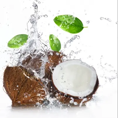 Coconuts - Super Fat, Slimming Fat? The Health & Weight Loss Benefits of Coconuts