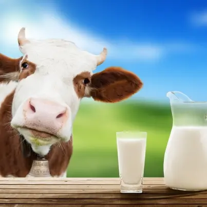 7 Other Things You Didn't Know About Milk