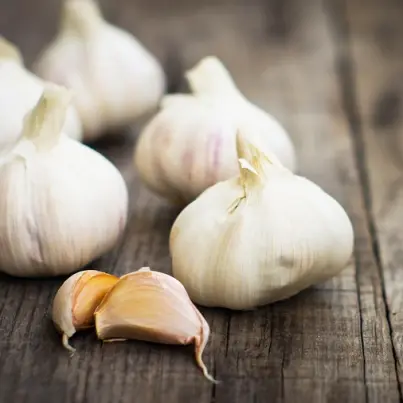 The Countless Health Benefits of Garlic
