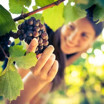 Overcome Infertility With Natural Remedies