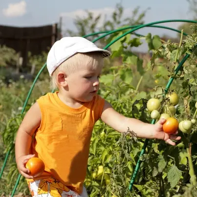 Free Food: Grow A Sustainable Garden