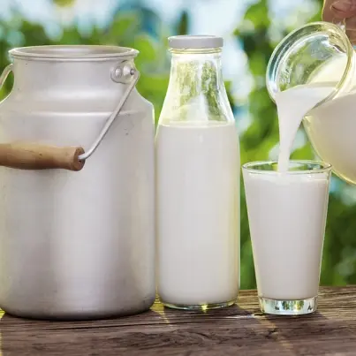 The Secrets of Milk