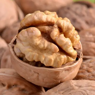 Eat Smart, Get Smarter: How Food Affects Your Mind