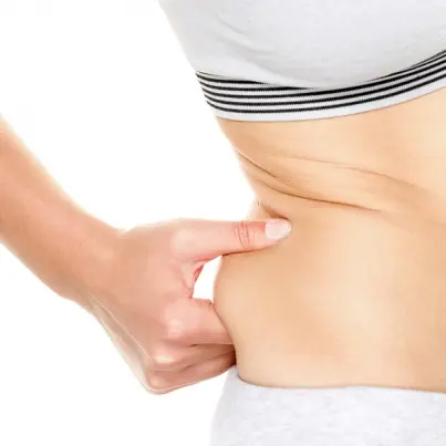 Rapid Fat Loss Diets - The Best Rapid Fat Loss Diets Around Today!