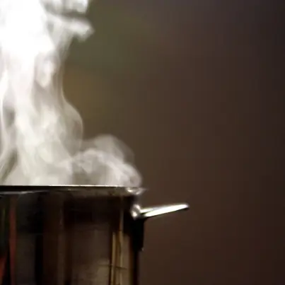 The Deliciously Healthy Benefits of Steam Cooking - Cooking For the Whole Family With Health in Mind
