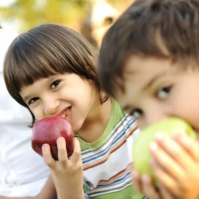 Rules for a Healthy Diet for Kids