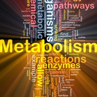 3 Foods that Ramp Up Your Metabolism so that you will Burn Fat while Resting