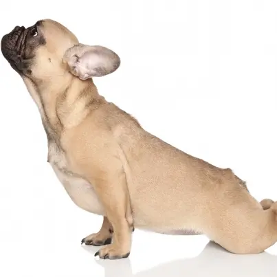 Heal Weak Bones with this One Exercise