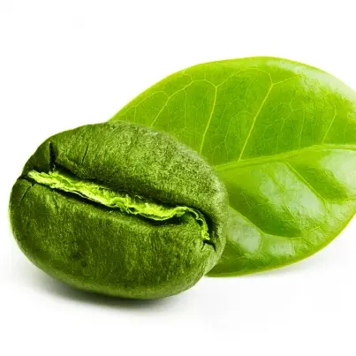 How Much Green Coffee Extract for Weight Loss?