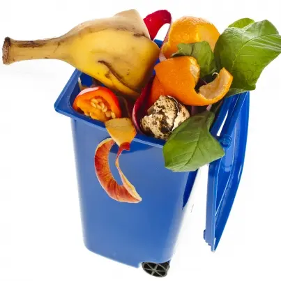 How Much Food Do We Waste? These Numbers Will Shock You!
