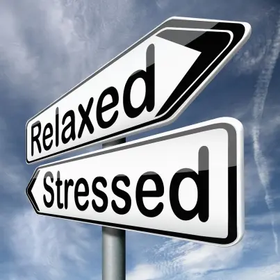 Are You Stressed When You Eat?