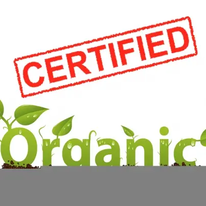27 Foods You Should Eat Organic