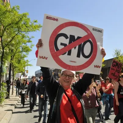 Just Say No to GMOs: What They Are and How To Avoid Them